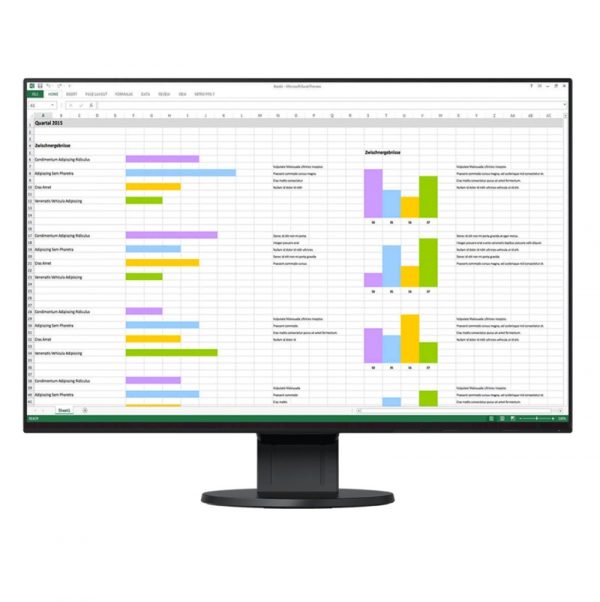 EIZO FlexScan EV2456-BK